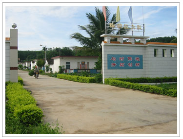海南省国营珠碧江农场