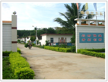 海南省国营珠碧江农场