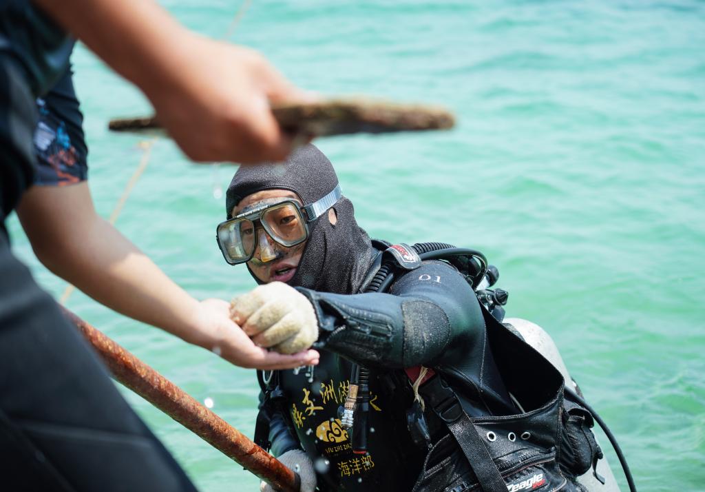 王丰国：天涯海角&ldquo;牧&rdquo;海人