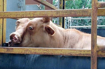 肖杰:三沙将为海上丝绸之路做出独特贡献