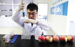 去除水果农药残留 盐水泡效果好