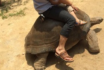 魔登56分火箭逆转快船 总比分1-1