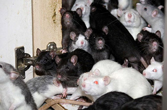 咸阳14岁男孩高考考出531分 大部分时间在家