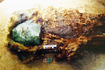 北极圈发现800年前<em>男性</em>干尸 <em>头发</em>红色戴青铜面