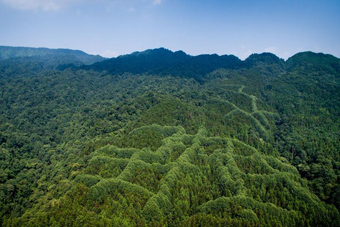 成都山区现神秘犇字形图案 原因成谜 - 新华网