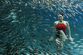 曼联再战欧冠 德佩梅开二度费莱尼建功 - 新华