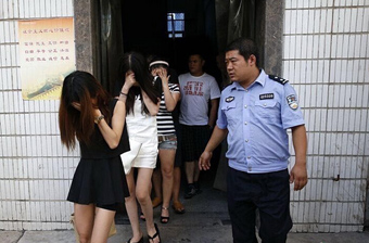 蚂蚁搬运果实 展现惊人力量 - 新华网海南频道