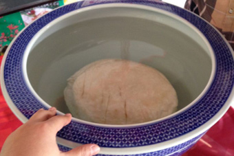  老人 枣树下 挖出 罕见 雪白  太岁 - 新华网海南频