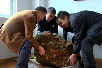 冲浪--第八届迪卡侬冲浪海南公开赛落幕 - 新华