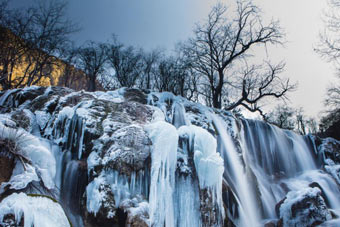 空姐头顶酒瓶膝盖夹纸练站姿 网友惊呼耍杂技