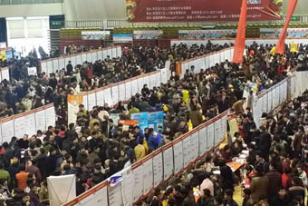 江苏盐城新春招聘会人气爆棚 1.5万人现场找工