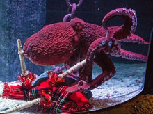 笑话-女性频道-新华网海南频道