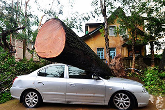 台风莫兰蒂重创厦门-新华网海南频道