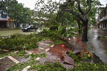 台风莎莉嘉登陆海南-新华网海南频道