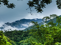 黎母山雲霧繚繞