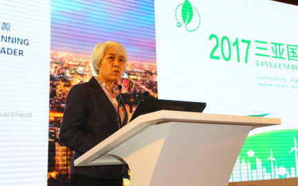 EDF（中国）投资有限公司政府总经理李莉发表演讲