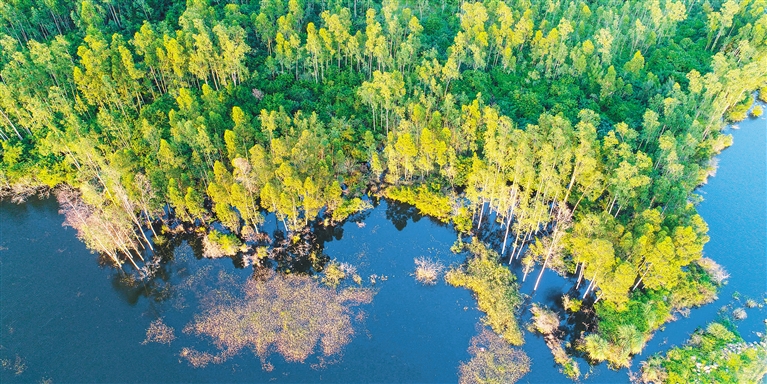 五源河公园湿地生态美