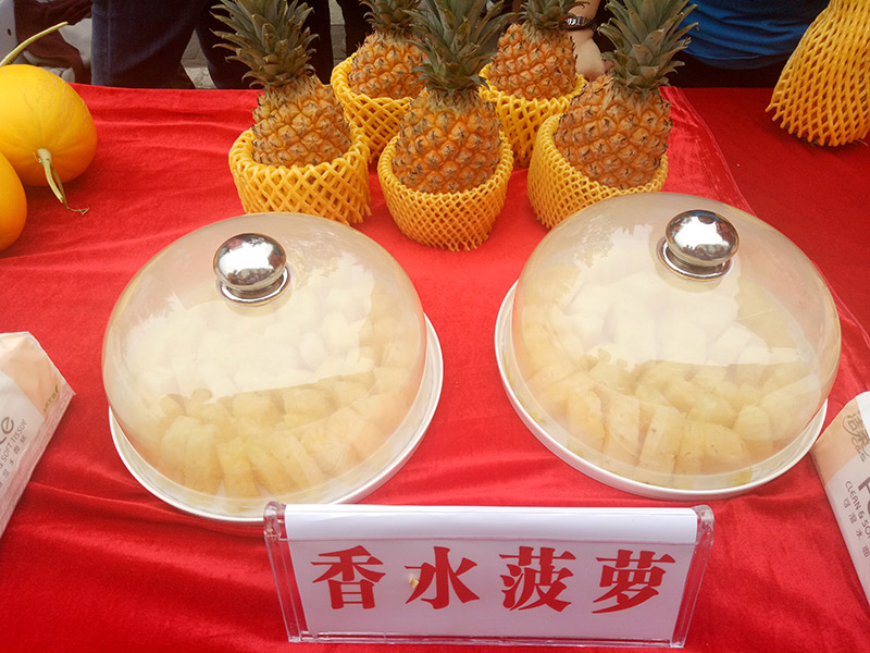 十月田香水菠蘿亮相昌江“三月三”