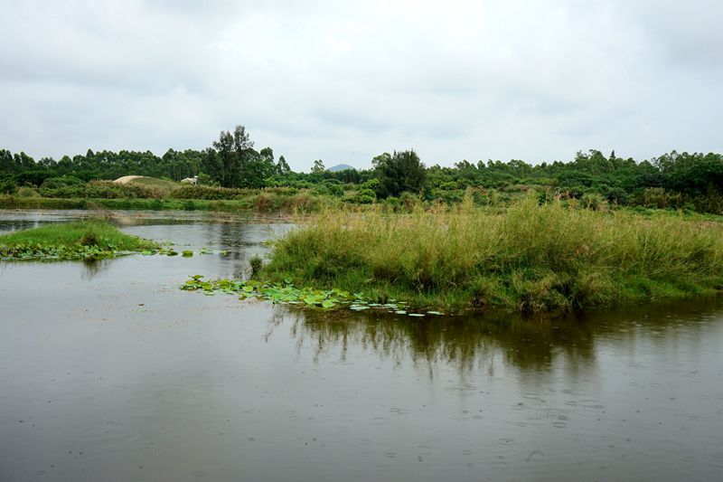 海南昌江海尾國家濕地公園（試點）正式揭牌