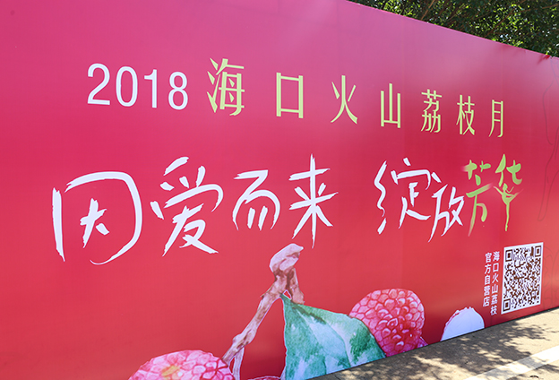 电商和物流平台推动荔枝产业发展走向规模化和标准化