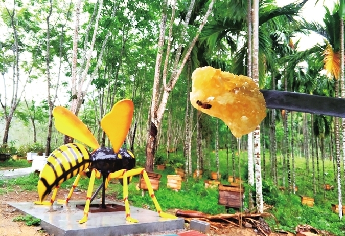 好蜜蜂 嗡嗡嗡 吸引游客来琼中