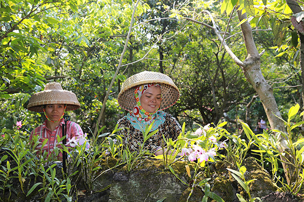 遍地石头变成金