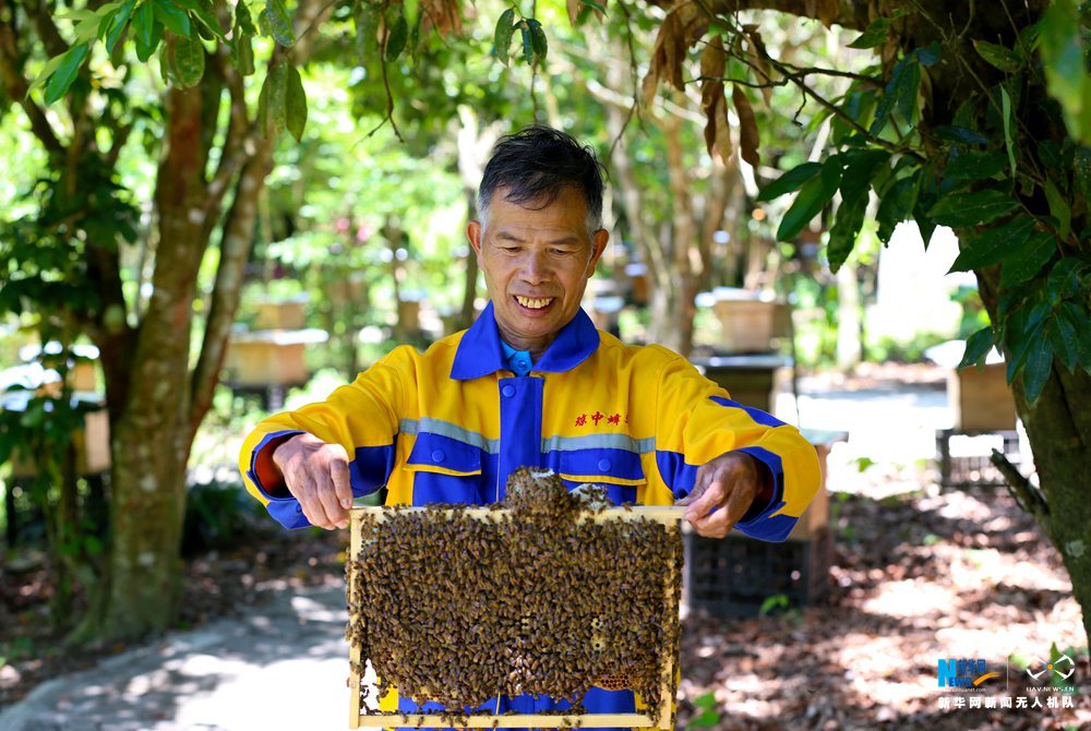 航拍“海南省最美蜂農”的甜蜜生活