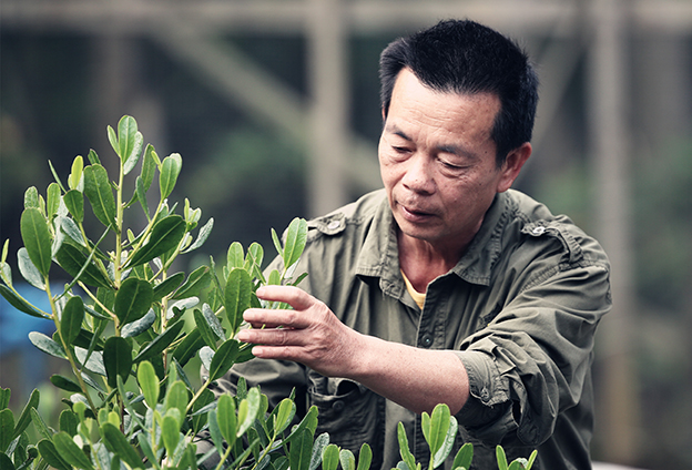 与红榄李的“缘”牵绕了三十余年