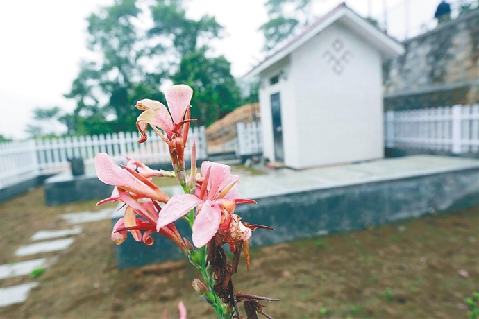 人工湿地 治污添美