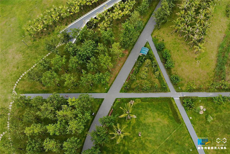 海口用生态文明刷新一座城