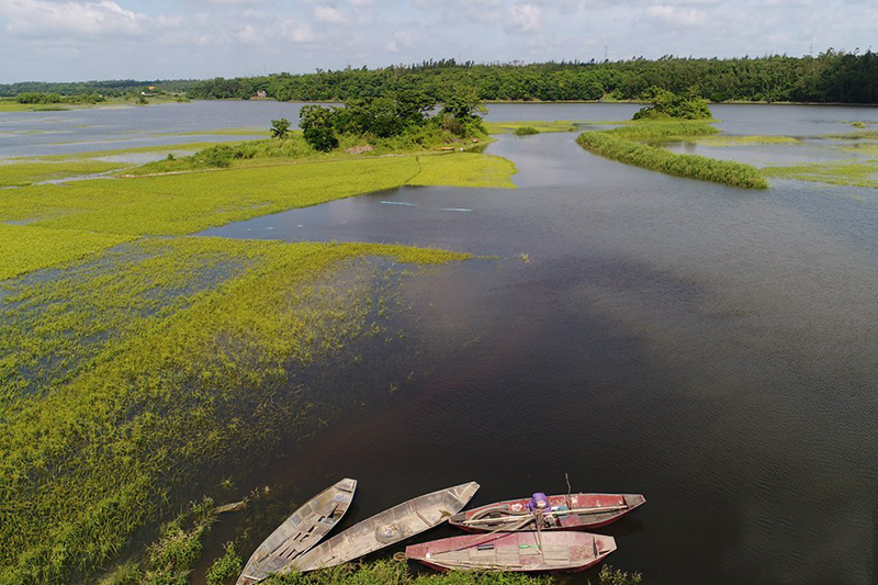 航拍海南新旧沟湿地 草色青青生态美