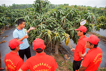 陵水办新型职业农民培训班 学员赴基地实操学习