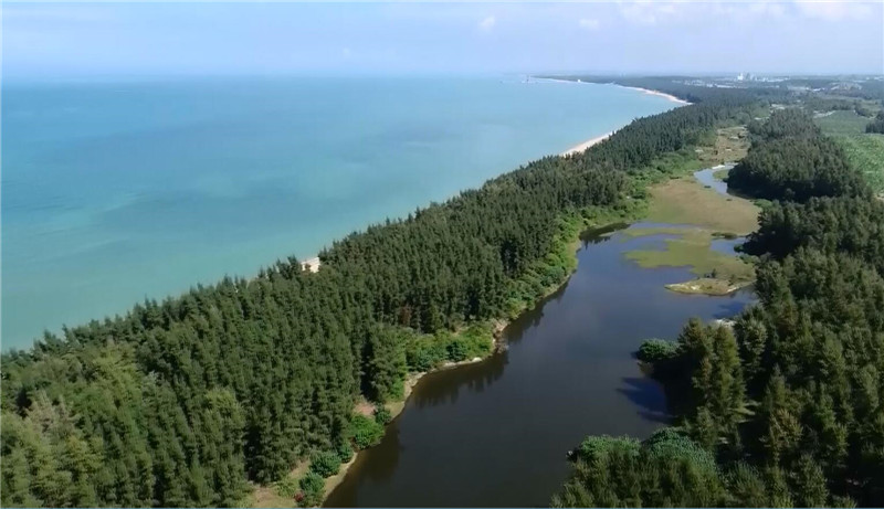 热带湿地有多美？来昌江海尾国家湿地公园看一看