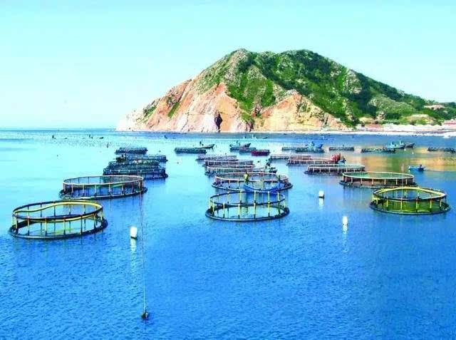 烟台海洋牧场发展经验可以在海南落地
