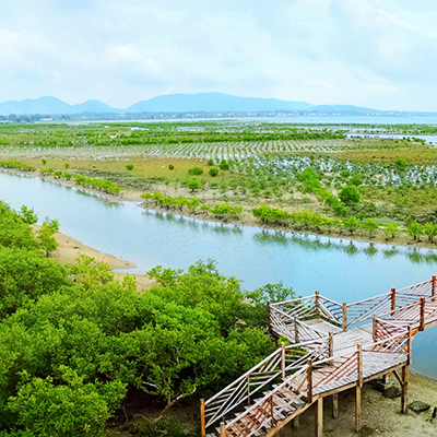 陵水红树林国家湿地公园