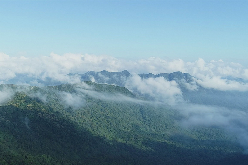 海南鹦哥岭—雨林秘境 秀美风景