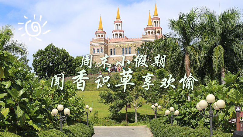 周末小假期 聞香識草享歡愉