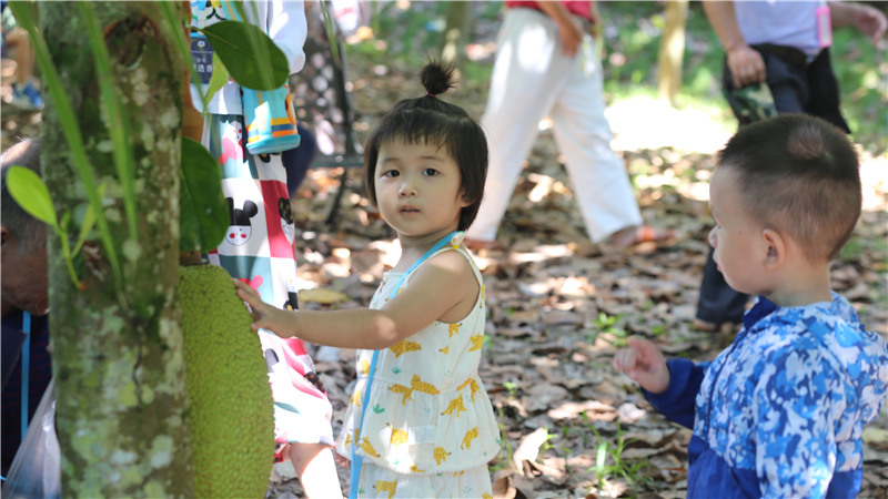 走進夢幻香山 讓童趣回歸生態