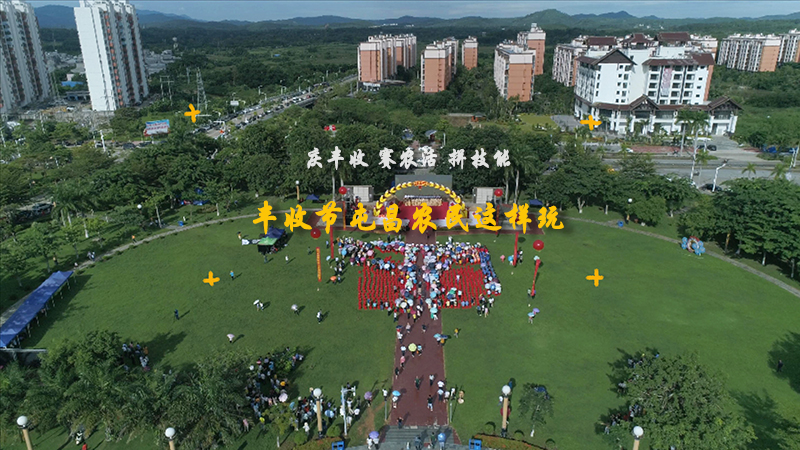 慶豐收 賽農活 拼技能 豐收節屯昌農民這樣玩