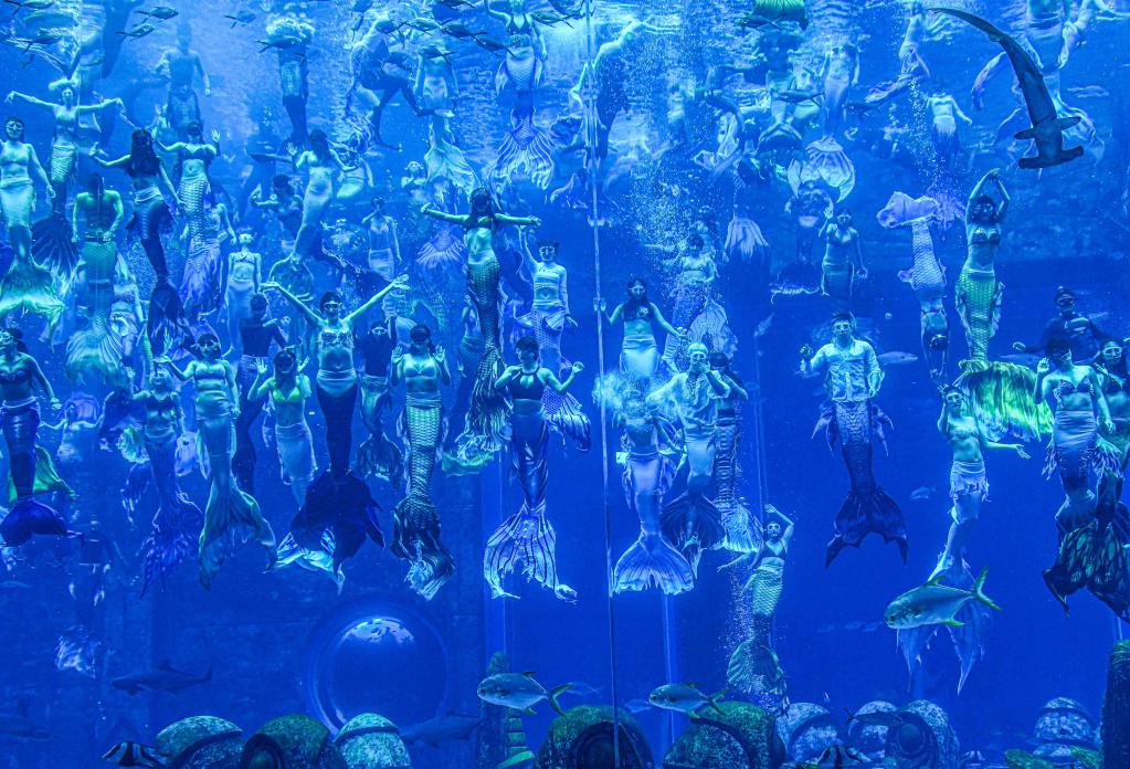 三亚亚特兰蒂斯成功挑战“最大规模的水下人鱼秀”吉尼斯世界纪录称号