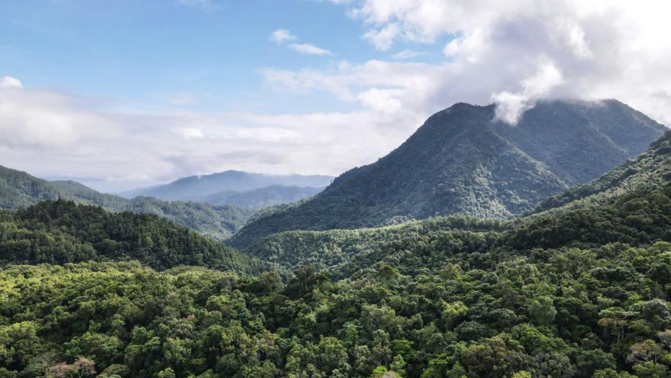 保护热带雨林 人人都是志愿者