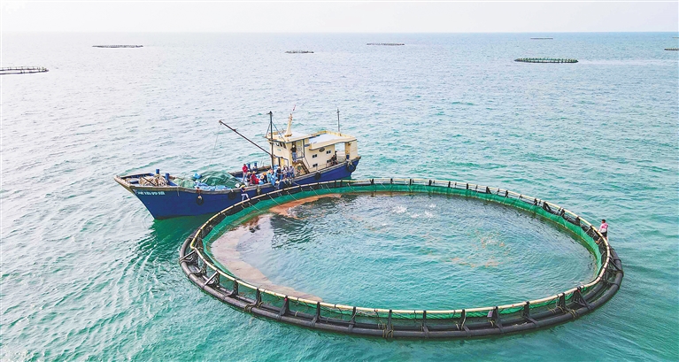 发展深海养殖助力渔业产业转型升级