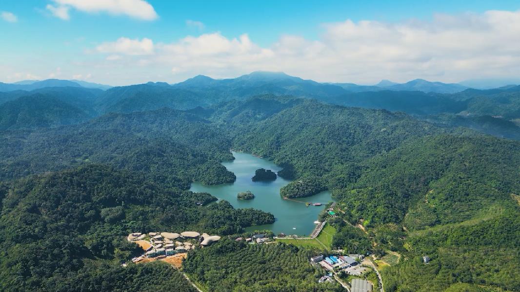 海南保亭：良好生态吸引“贵客”景区再现桃花水母