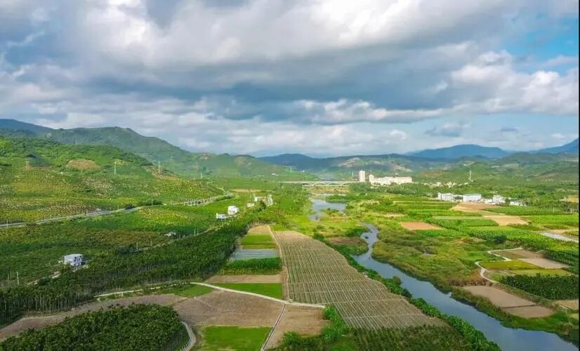 三亚崖州区发展种养殖新模式 鼓起群众腰包