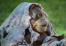 笑话-女性频道-新华网海南频道