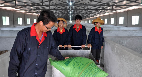 海南振风农业科技发展有限公司-新华网海南频