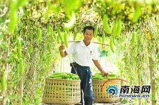 海南政务廉政-新华网海南频道